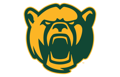 Baylor Bears Perks